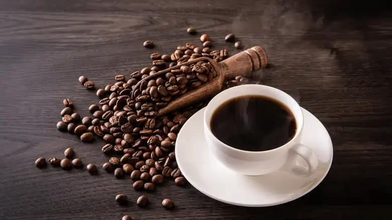 What You Need To Know Before You Buy A Coffee Canister