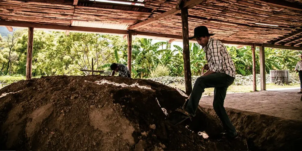 ‘More like magic than science’: how making mezcal the ancestral way is gathering momentum
