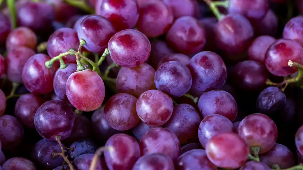 How many grapes should you eat per day? The nutritionist's recommended amount