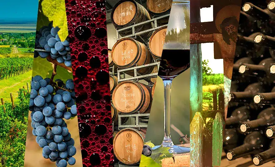 Wine Guide: The Best 10 Romanian Red Wines