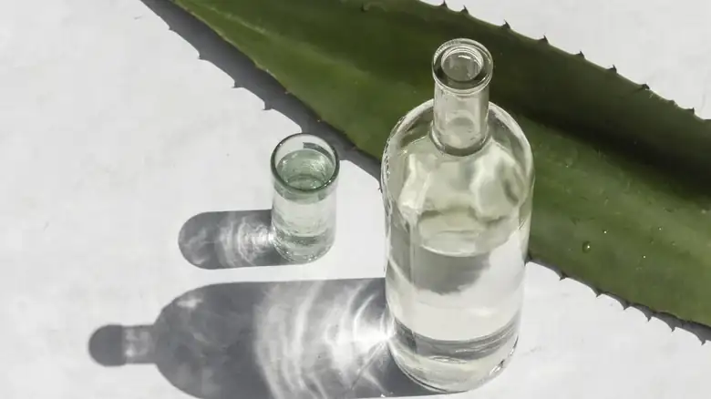 The Important Differences Between Mezcal And Tequila