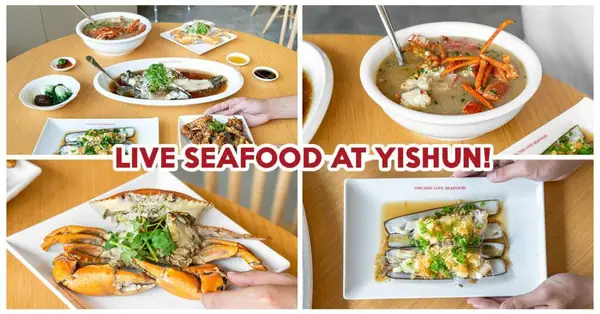 Orchid Live Seafood Review: Teochew-Style Lobster Porridge And Salted Baked Crab At Yishun