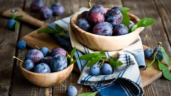 Foods that promote nighttime rest and help restore the circadian rhythm in September