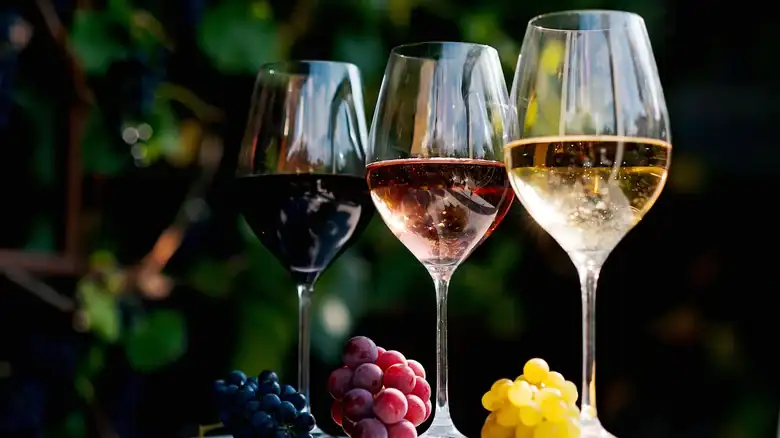Old World Vs New World Wine, Explained