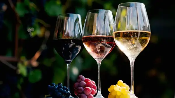 Old World Vs New World Wine, Explained