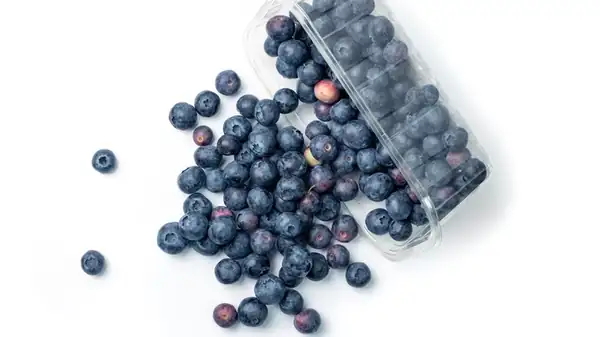 Huckleberry Vs Blueberry: Is There A Difference Between The Fruit Look-Alikes?