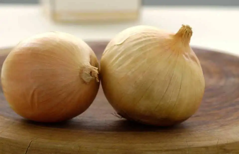 Chef Tip: How to Cut Onions Without Crying