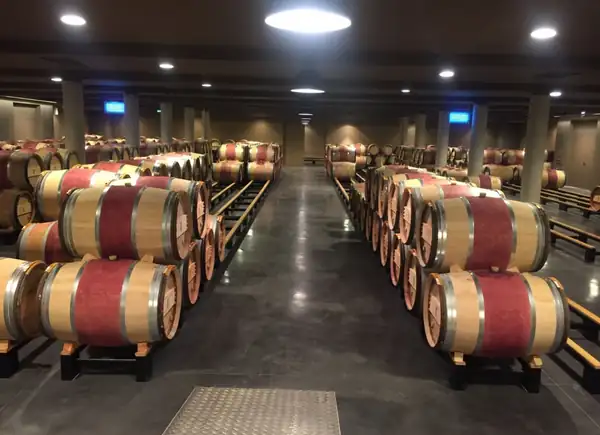 The language of wine and its misuse (I)