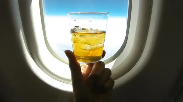 ¿Es mala idea pedir tu bebida con hielo en un avión?