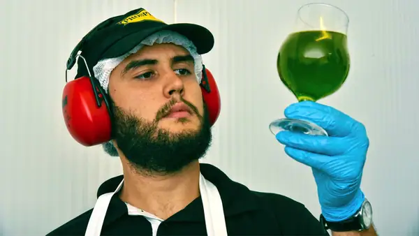 How Rio Grande do Sul Became the Center of Brazil’s Olive Oil Industry