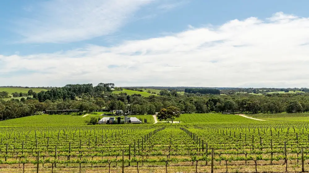 Seis destinos vinícolas de Sudáfrica acaban de ser galardonados en los premios SA Best Of Wine Tourism Awards 2027