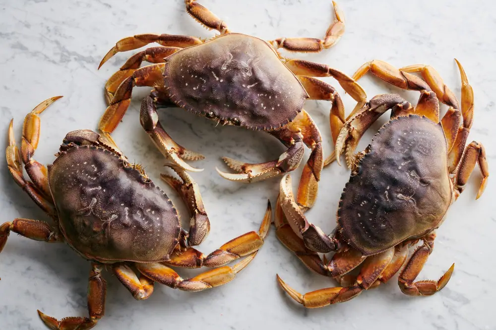 Dungeness Crab Is the West Coast’s Holiday Treat