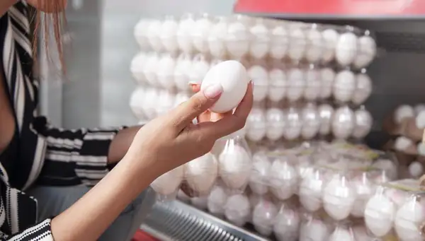 How to choose and store eggs, and what the water test says