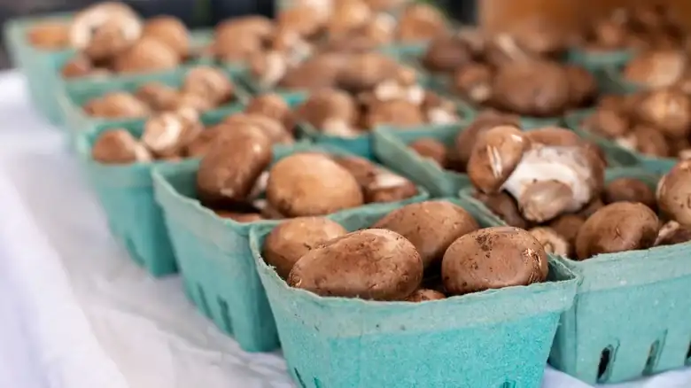 The Age Difference Between Baby Button, Crimini And Portobello Mushrooms