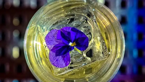 Barro Negro, el primer bar de Grecia dedicado al agave, reinventa el Porn Star Martini