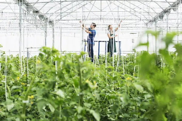 En cifras: la realidad de una agricultura que requiere un uso intensivo de recursos (y posibles soluciones)