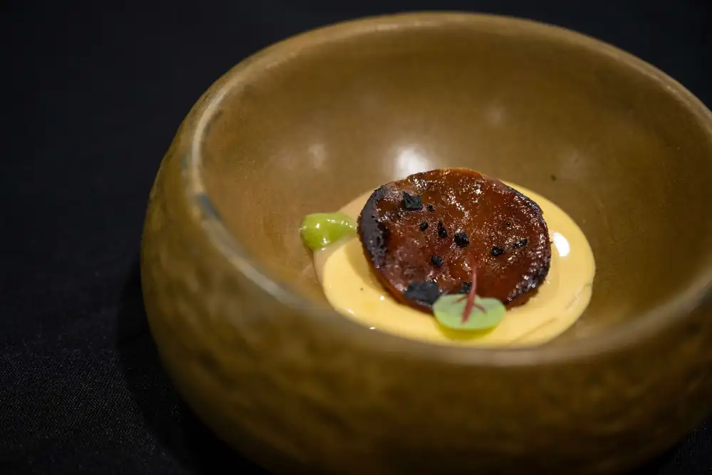 Escabeche de mandarina con velouté de carne curada y setas látigo encurtidas con azafrán