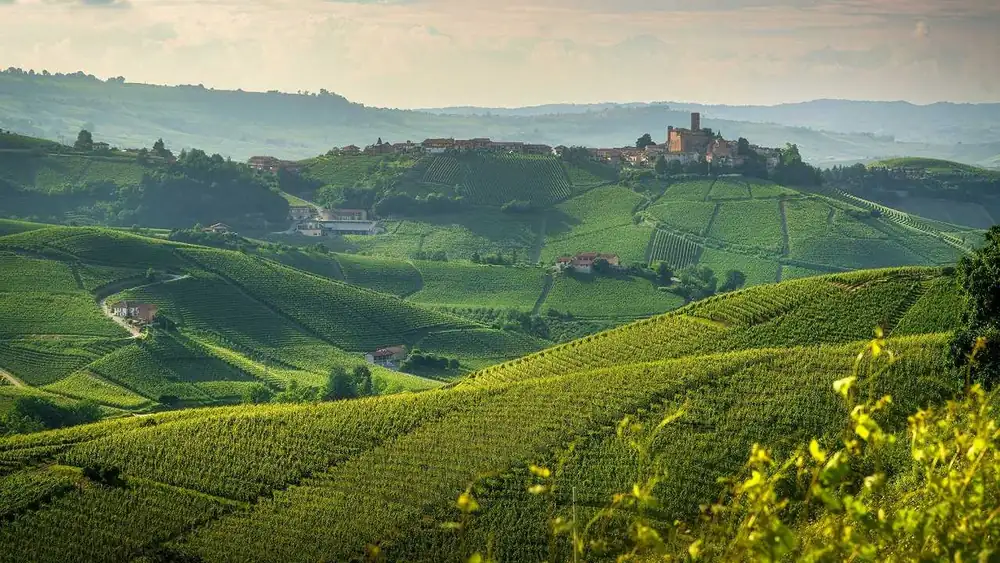 A heist in the Langhe: hundreds of thousands of euros stolen from the Conterno Fantino winery