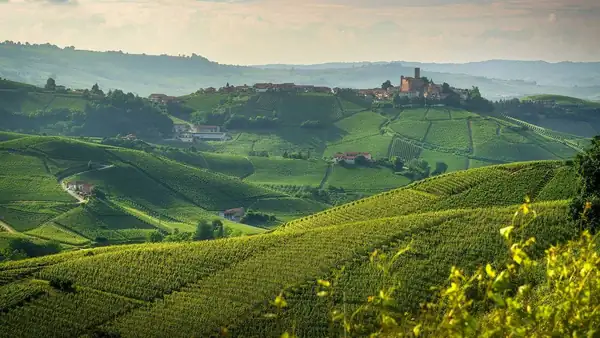 A heist in the Langhe: hundreds of thousands of euros stolen from the Conterno Fantino winery
