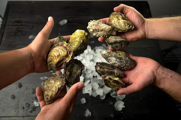 Bendito Mar cultivates oysters and Catarina clams in Magdalena Bay, Baja California Sur