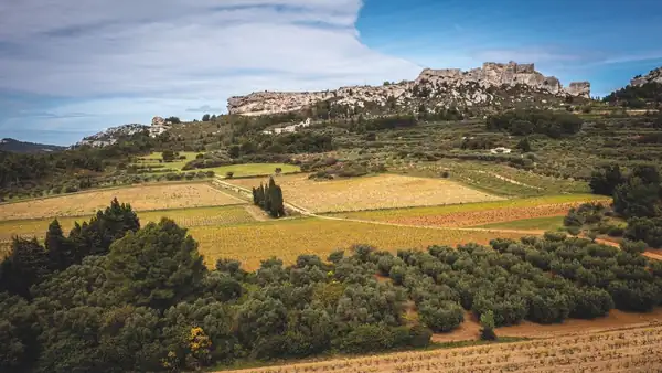 Forgotten France: The Provençal vineyards that inspired Van Gogh