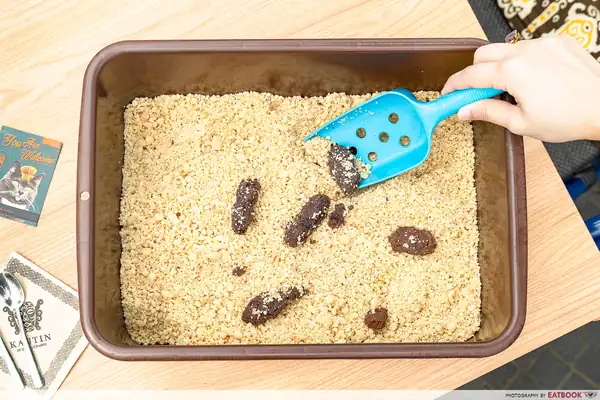 Get This Realistic "Cat Poop" Dessert To Prank Your Friends With At Jewel Changi