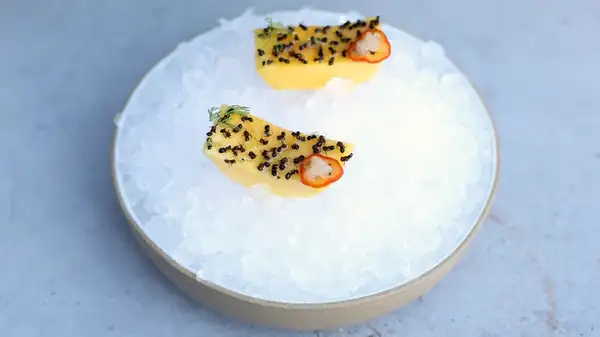 Noma Shook Up The World Of Fine Dining With Insects