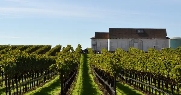 Los estados con más bodegas en 2026 [MAPA]