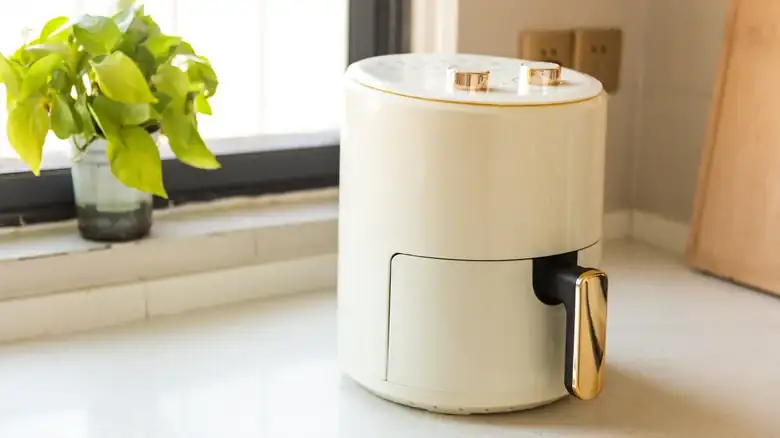 What You Definitely Need To Avoid When Cleaning Your Air Fryer