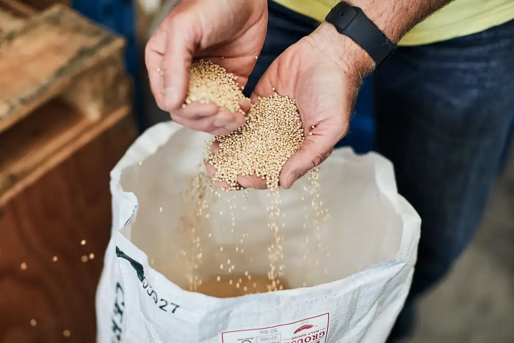 John Palmer's tips for gluten free brewing