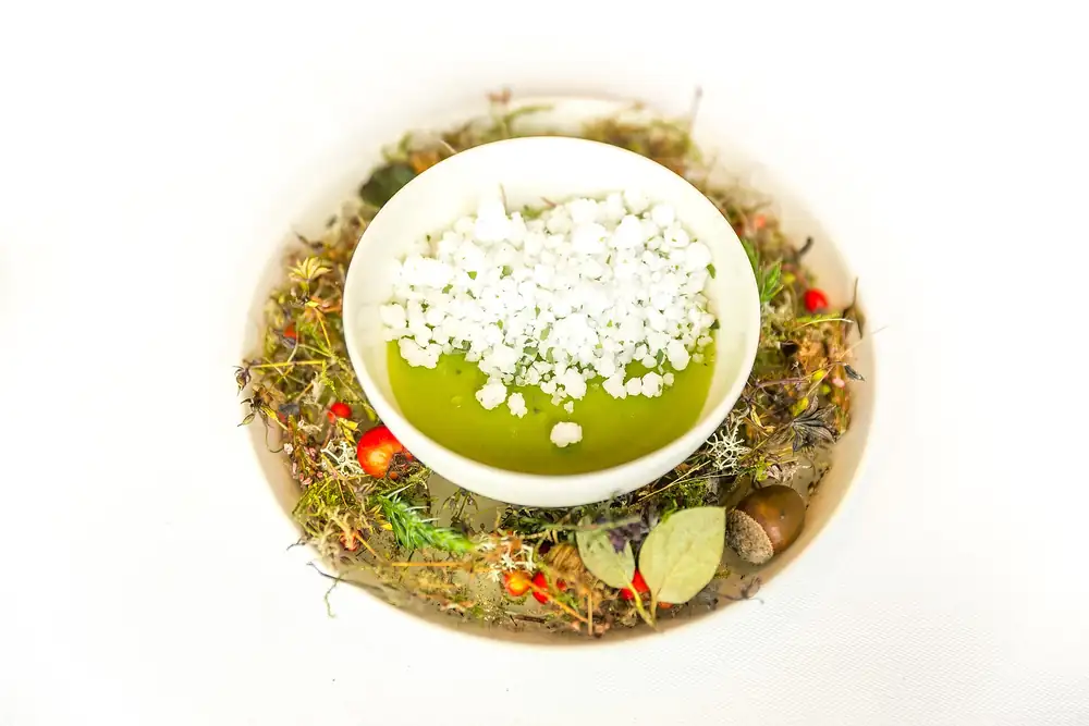 Ocho pisos arriba, Geranium cocina la luz