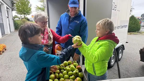 Free swimming lessons in Ense: What fruit has to do with it