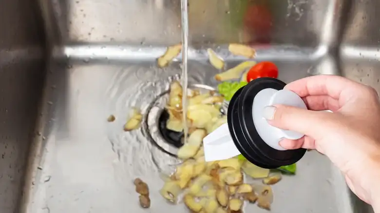 Why You Should Never Send Potato Peels Down The Garbage Disposal