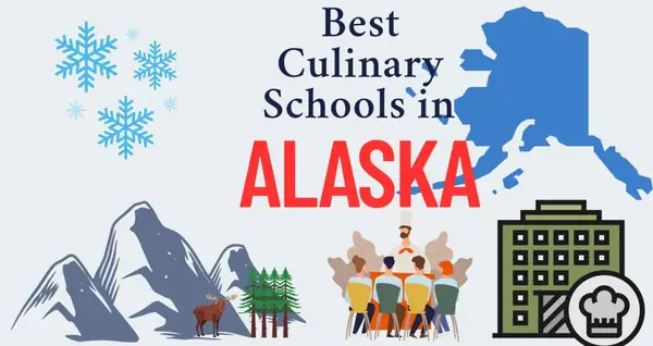 Las mejores escuelas de cocina de Alaska (guía 2025)