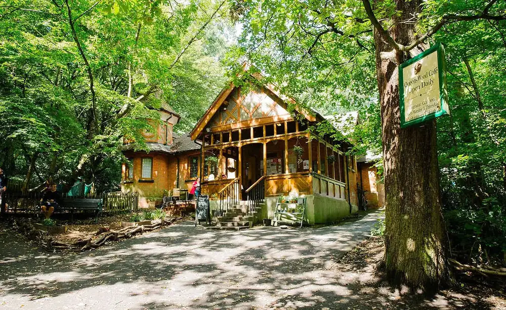 Hay una acogedora cafetería estilo cabaña escondida en este antiguo bosque londinense, y parece sacada de un cuento de hadas