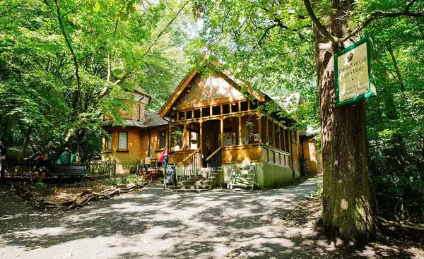 There's a cozy cottage-style cafe tucked away in this ancient London forest, and it looks like it's straight out of a fairy tale