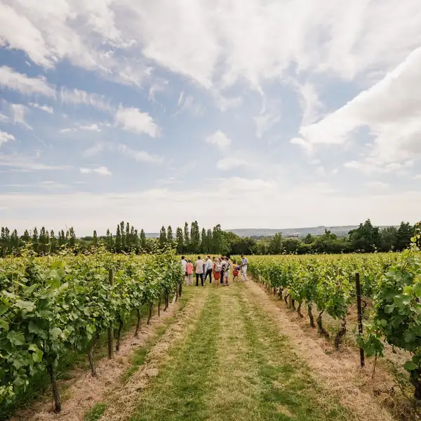 ¡Apártate, champán!: el vino espumoso inglés está viviendo su momento de gloria