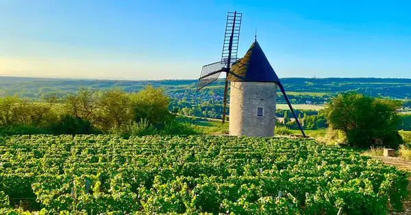 The Burgundy Villages With the Most Grand Cru Vineyards [Infographic]