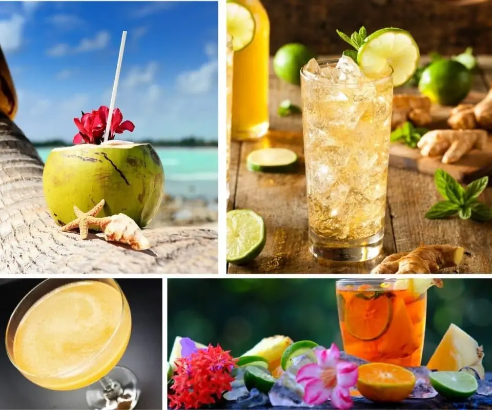 Top 20 Guyanese Drinks for Staying Cool and Hydrated