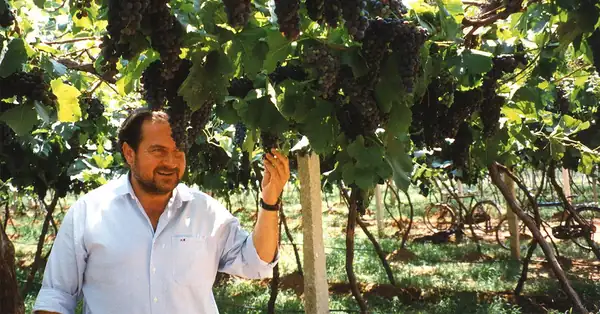 Will There Ever Be Another Michel Rolland? Where Wine Consulting Stands After the Loss of the First Flying Winemaker