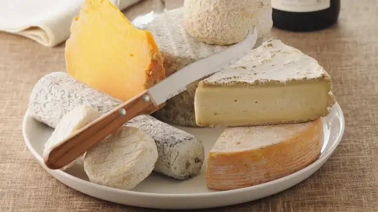 The Staggering Number Of Cheeses That Actually Exist In The World