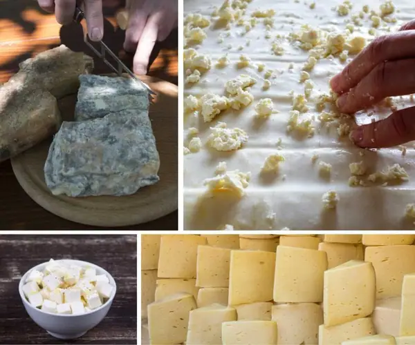Most Popular Bulgarian Cheeses