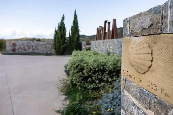 Alvia: a wine on the Camino