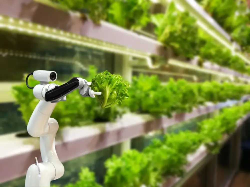 Se acerca la segunda generación de agricultura vertical. He aquí por qué es importante.