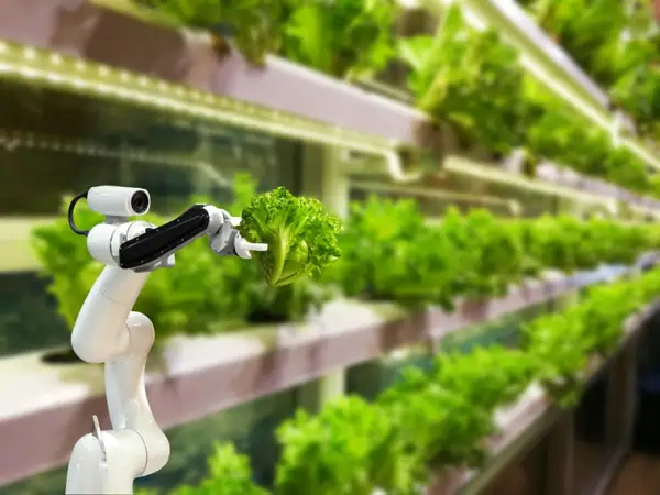 The second generation of vertical farming is approaching. Here's why it's important