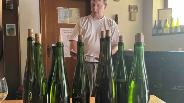 Jean Ginglinger, sixteen generations of wine in Alsace: “Enough with labels”