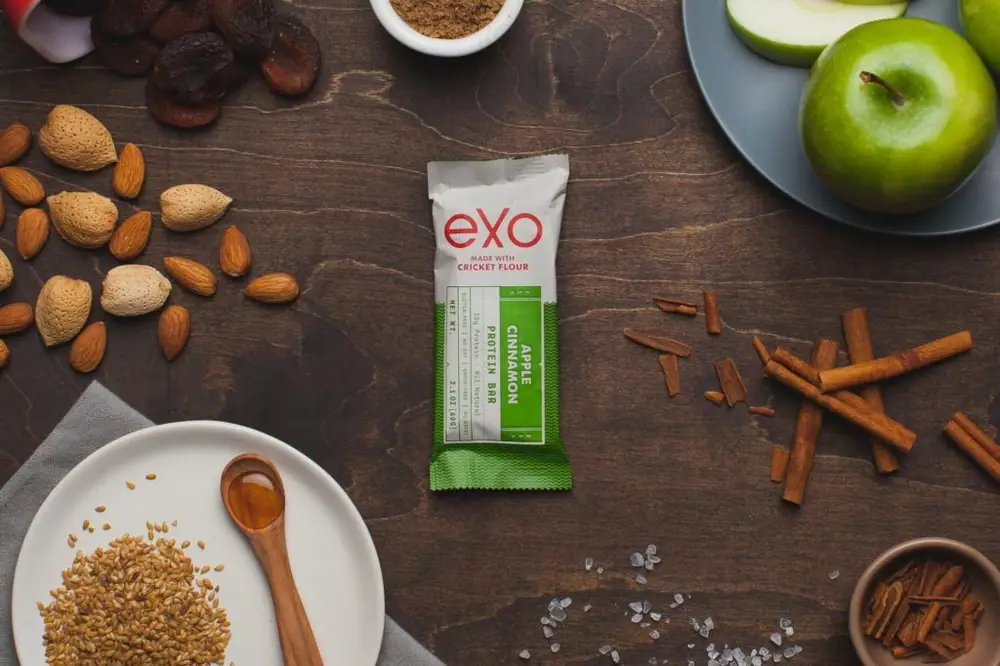 Insect Food Brand Exo Raises $4m Series A from Nas and Amelia Boone