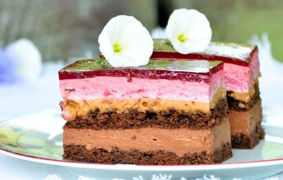 Chocolate Berry Mousse Cake
