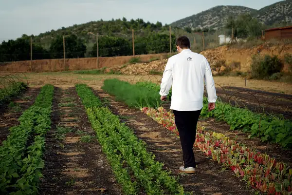 Restaurantes que traen el jardín