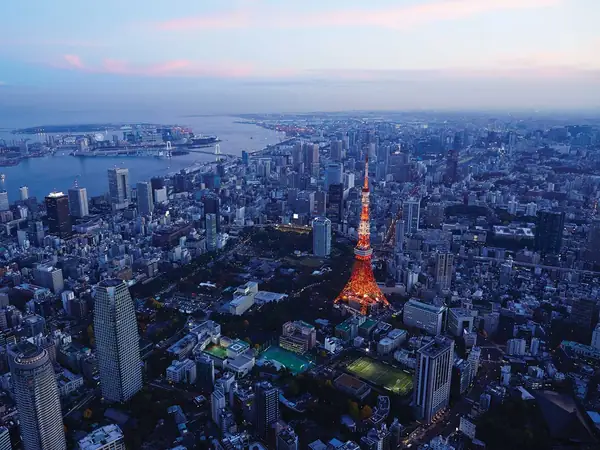 Comer vegano en Tokio